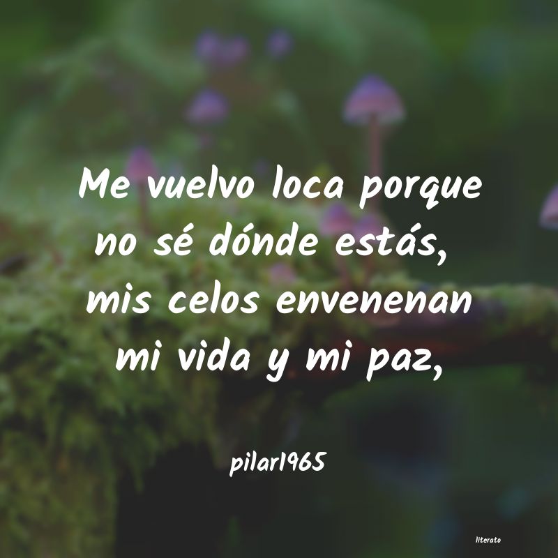 frases de pilar1965