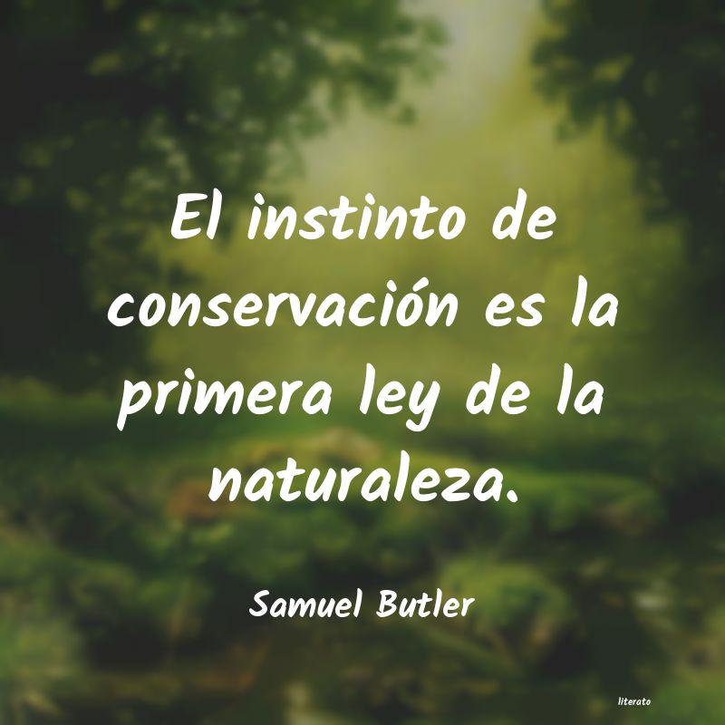 frases de Samuel Butler
