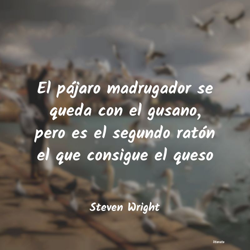 Frases de Steven Wright