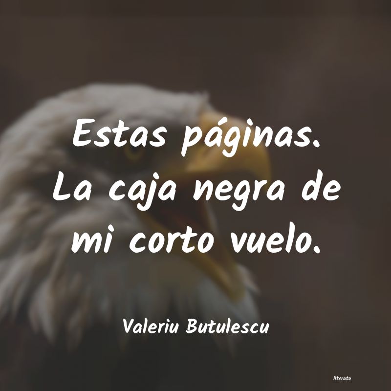 Frases de Valeriu Butulescu