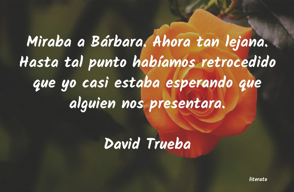 Frases de David Trueba
