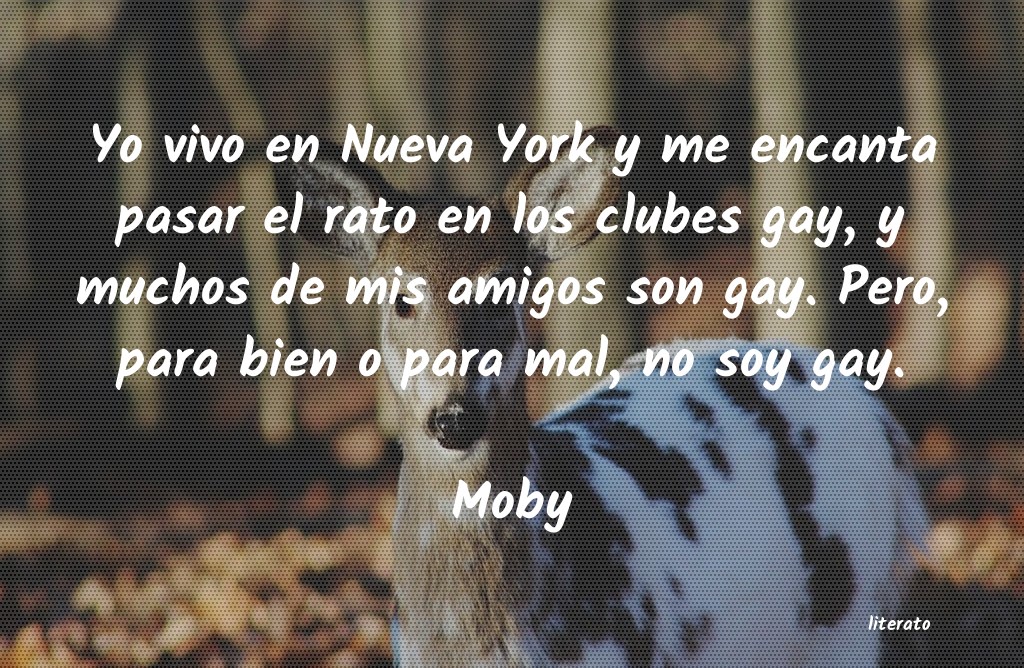 Frases de Moby