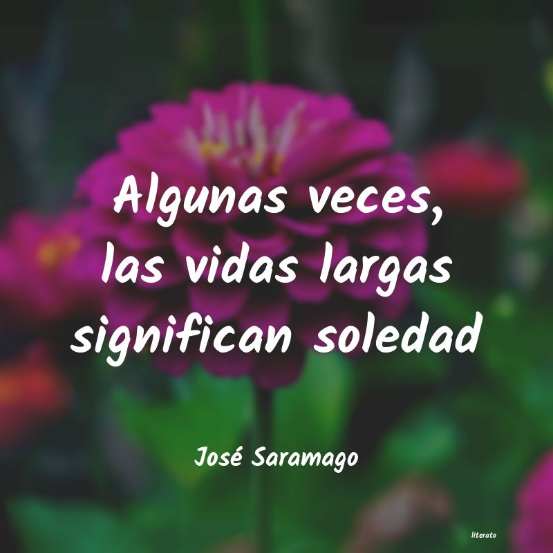 frases de José Saramago