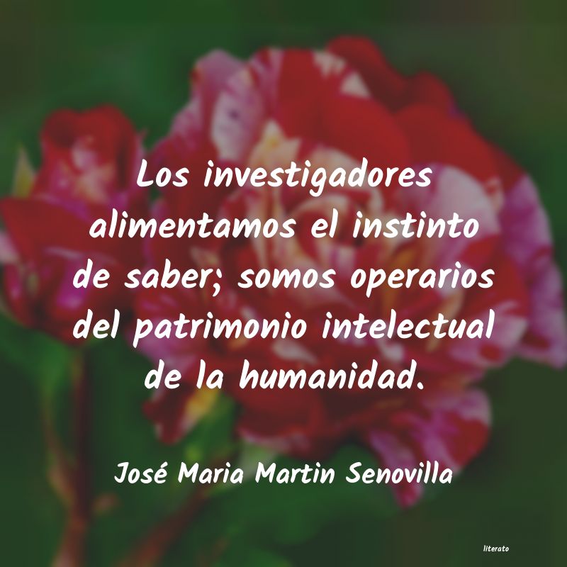 Frases de José Maria Martin Senovilla