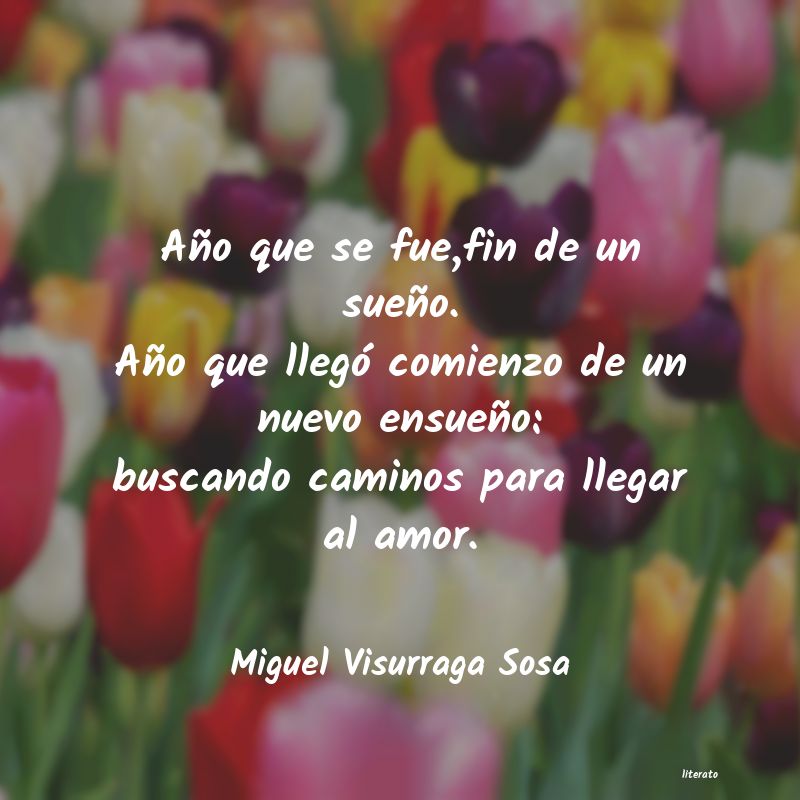 Frases de Miguel Visurraga Sosa