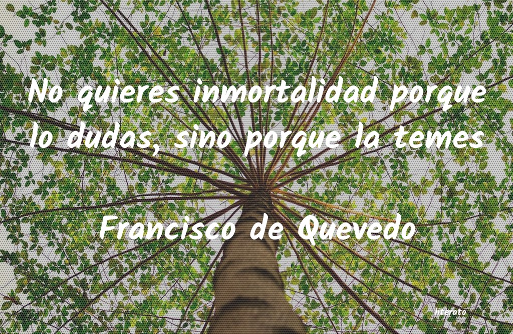 Frases de Francisco de Quevedo