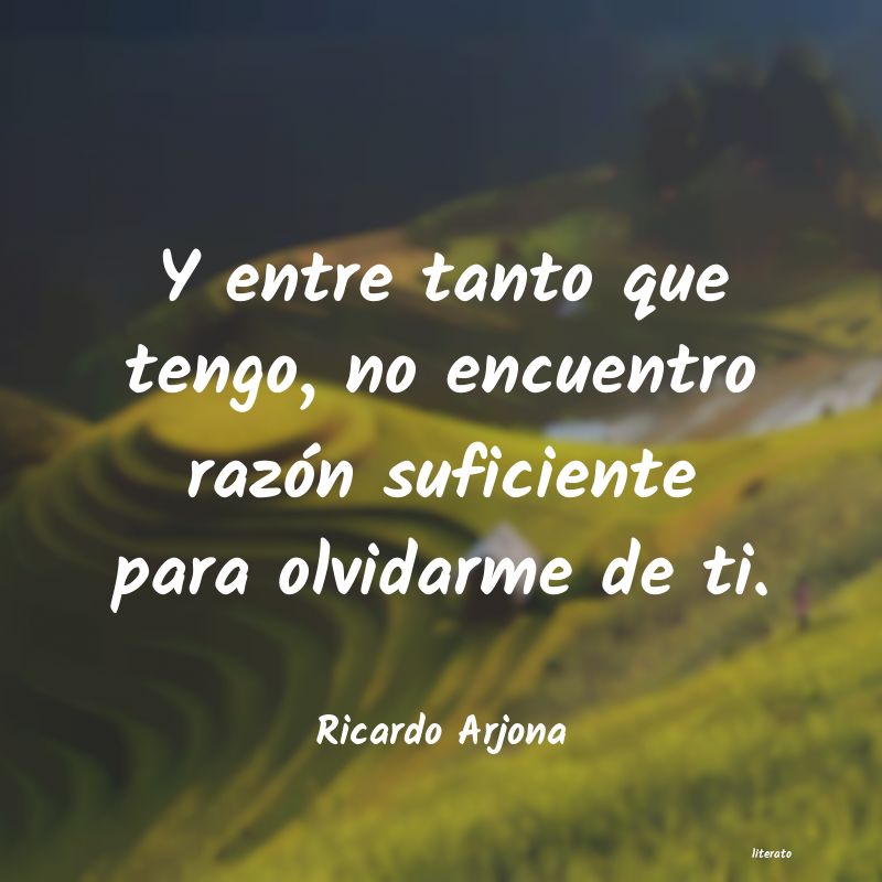 Frases de Ricardo Arjona