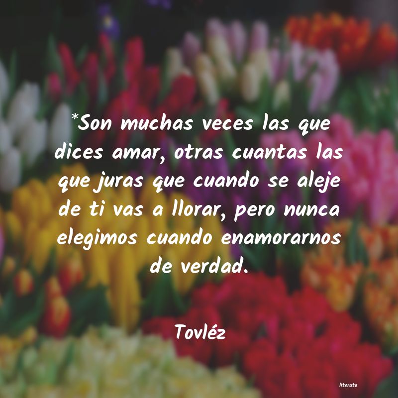 frases de Tovléz