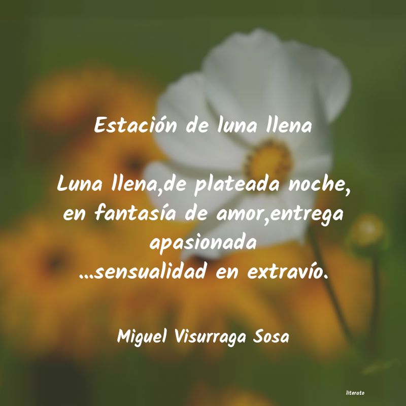 frases de Miguel Visurraga Sosa