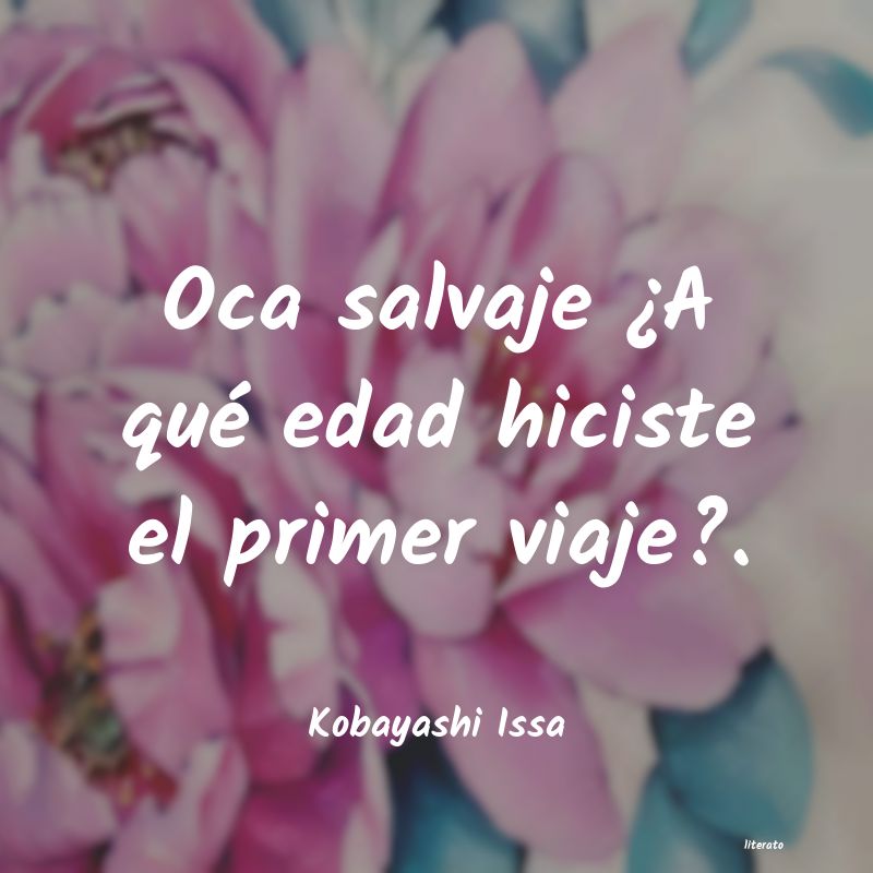 frases de Kobayashi Issa