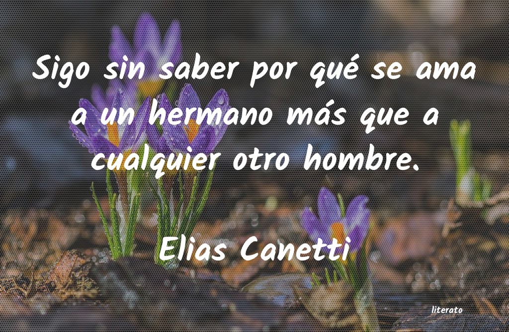 elias canetti conocimiento conocer mejor