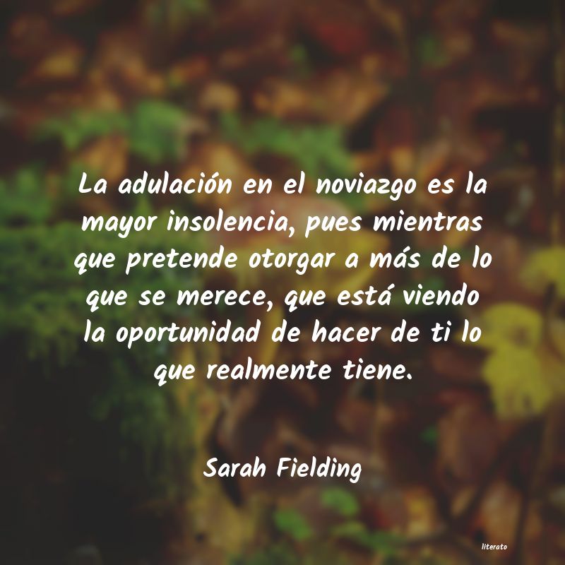 Frases de Sarah Fielding