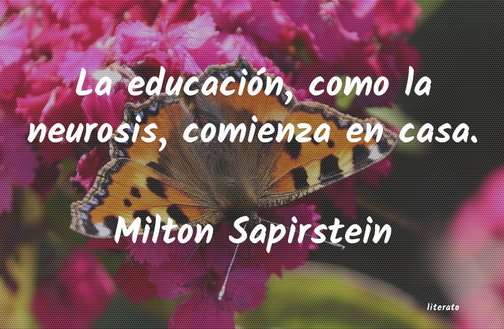 Frases de Milton Sapirstein