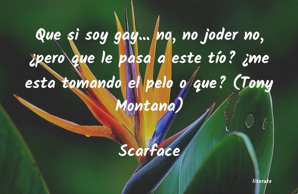 frases de Scarface