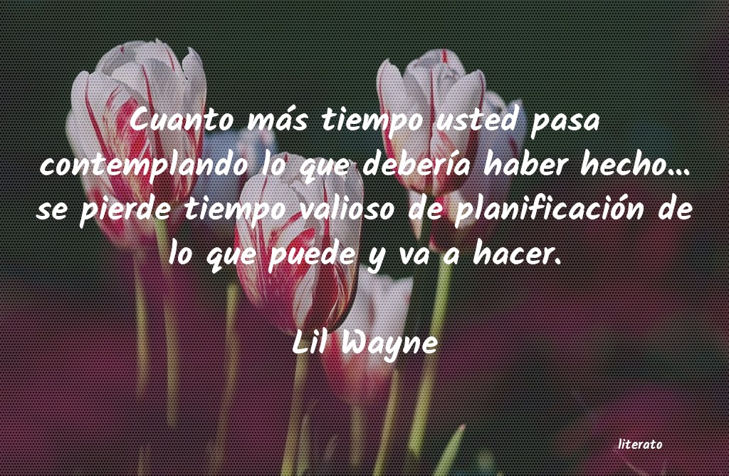 Frases de Lil Wayne