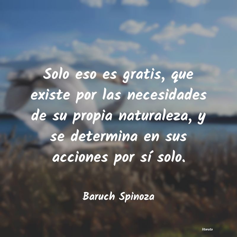 Frases de Baruch Spinoza