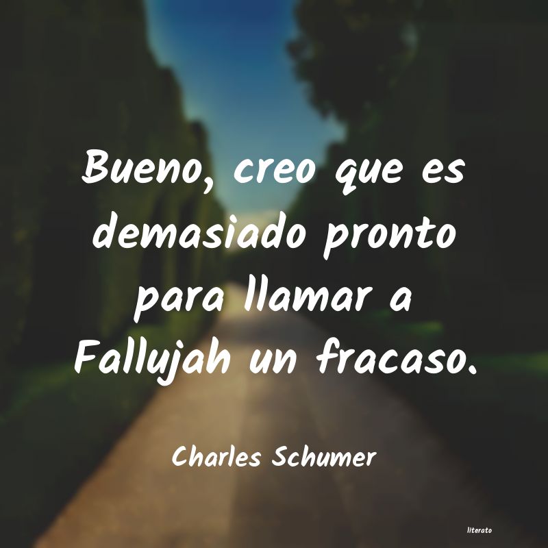 frases de Charles Schumer