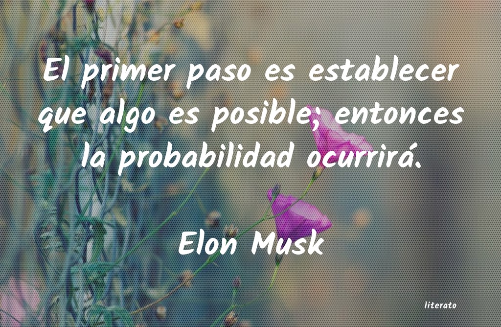 Frases de Elon Musk