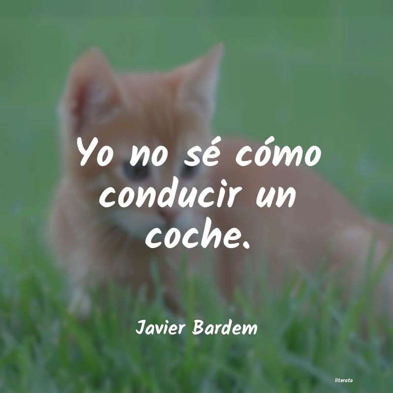 Frases de Javier Bardem