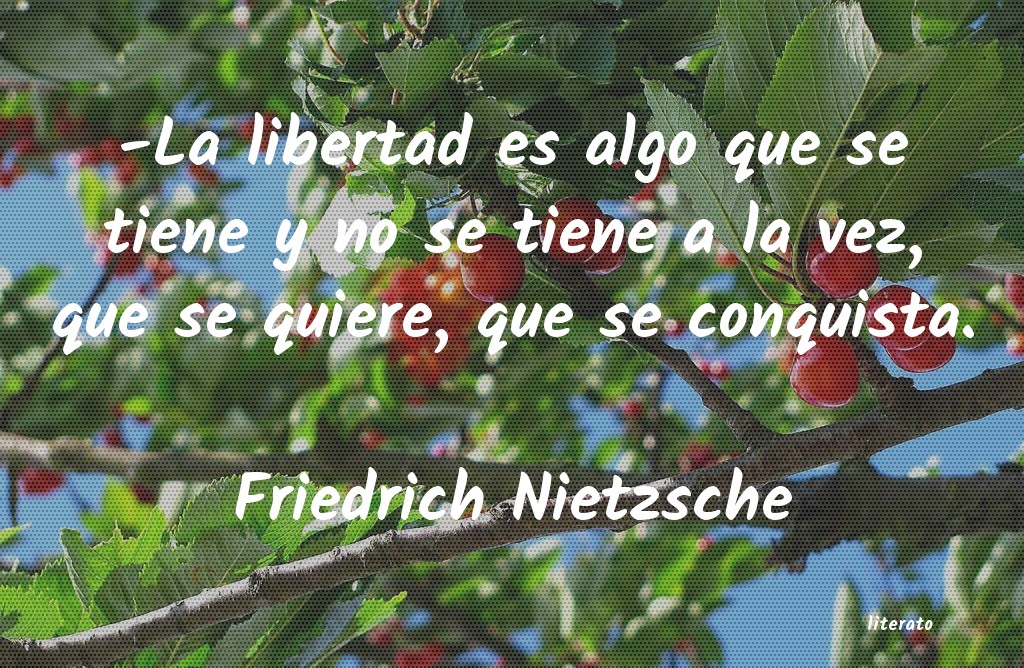 frases de Friedrich Nietzsche