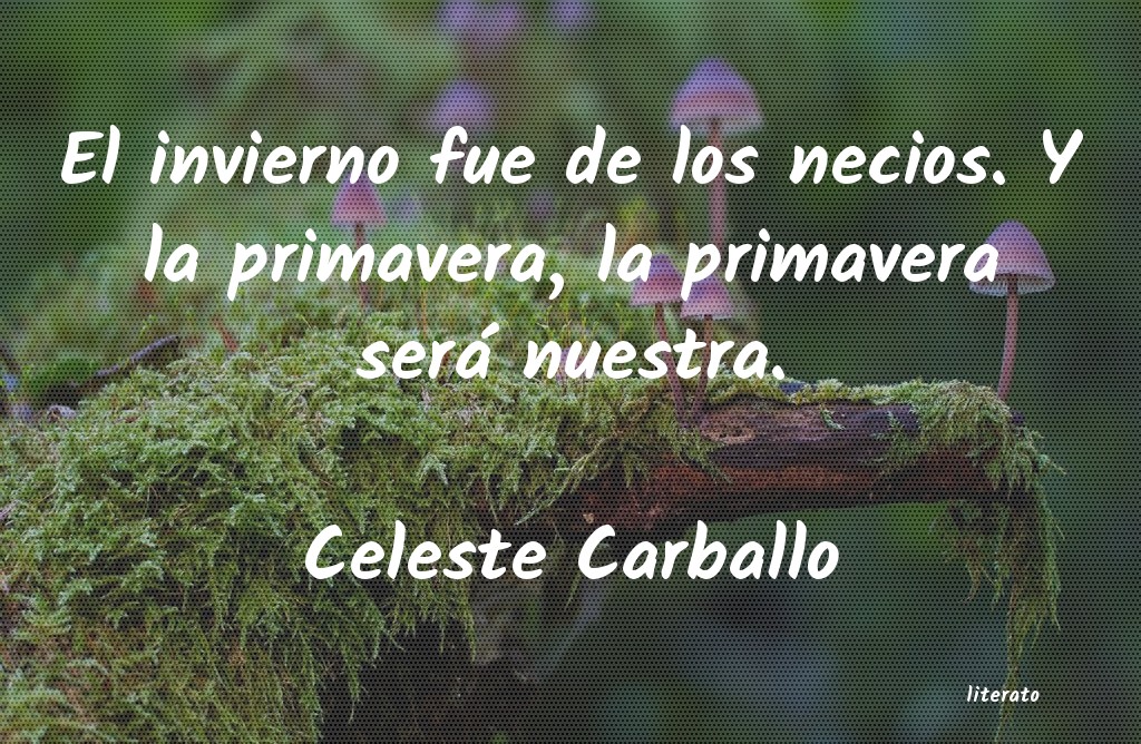 Frases de Celeste Carballo