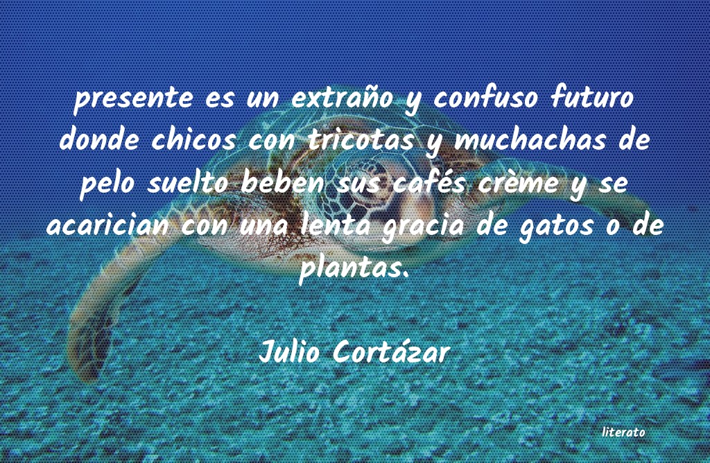 Frases de Julio Cortázar