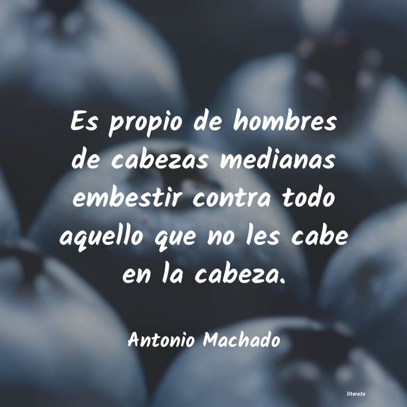 Frases de Antonio Machado