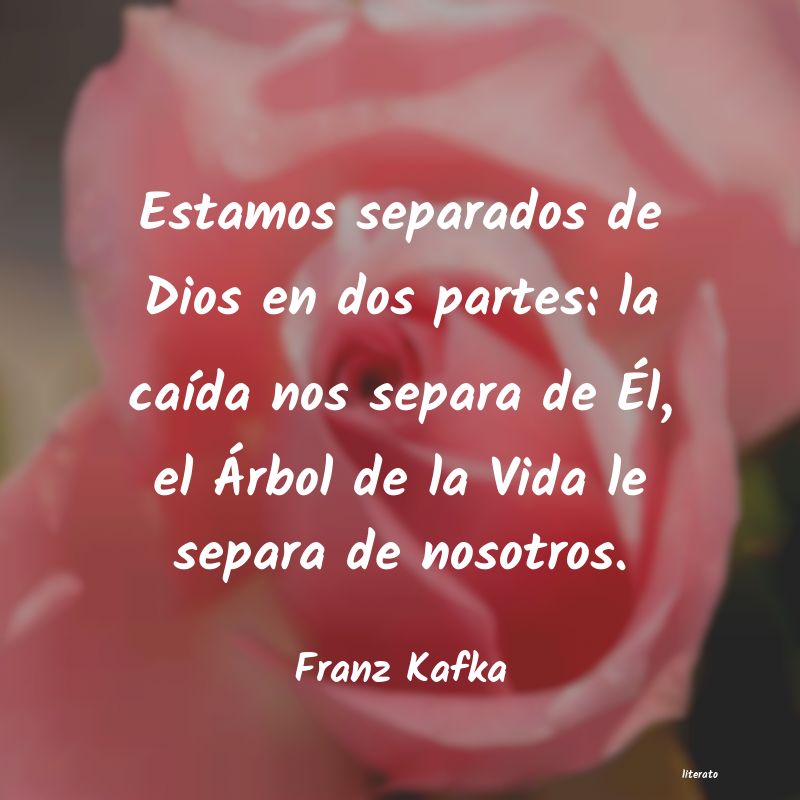 Frases de Franz Kafka