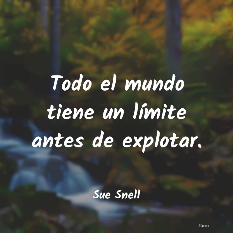 Frases de Sue Snell