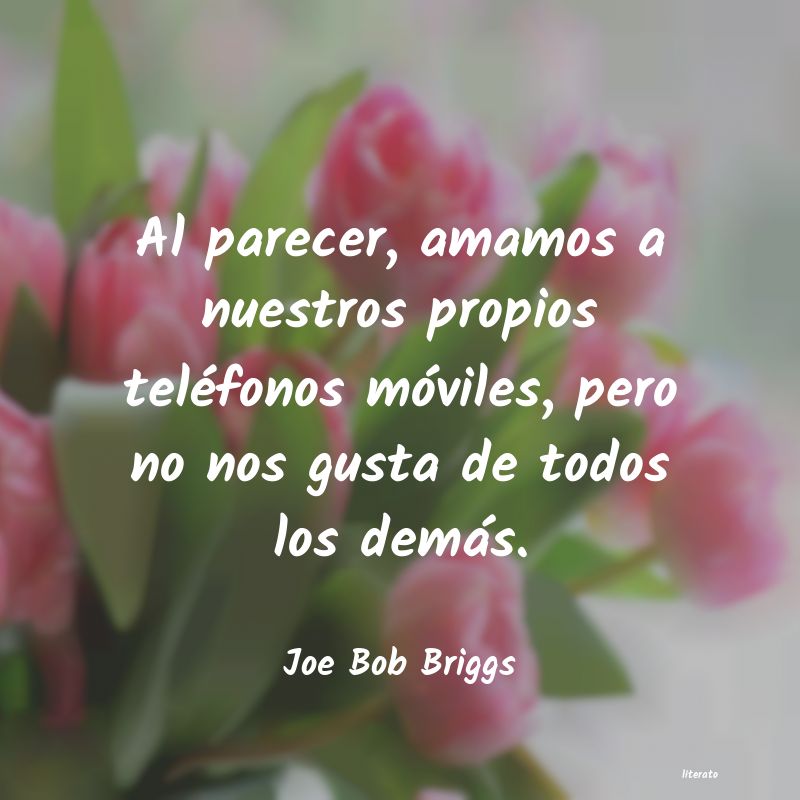 Frases de Joe Bob Briggs