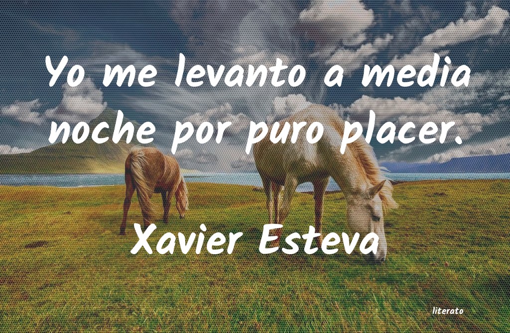 Frases de Xavier Esteva