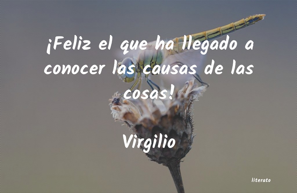 querer conocer