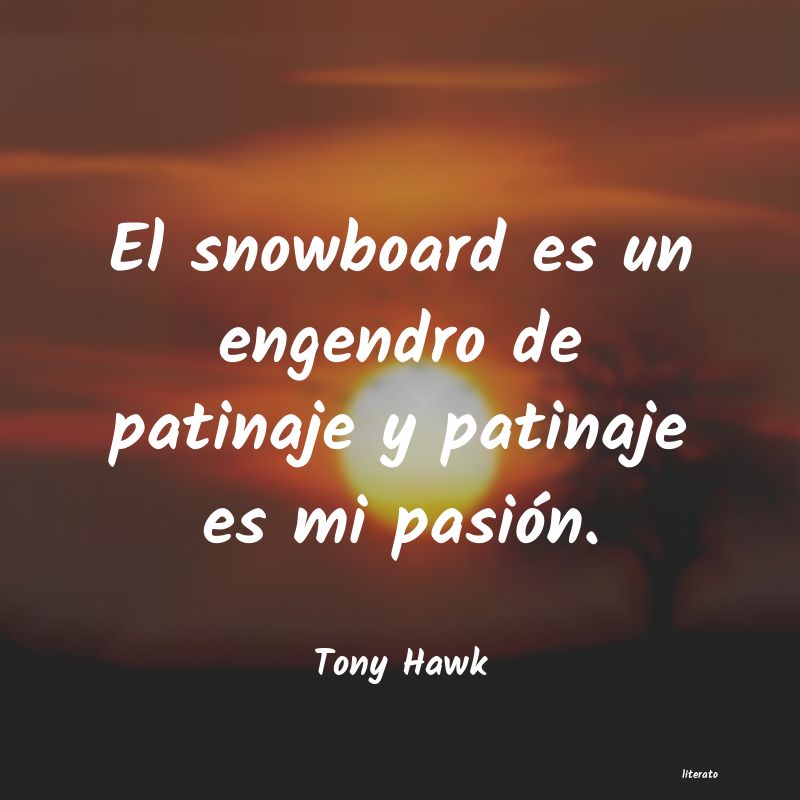 Frases de Tony Hawk