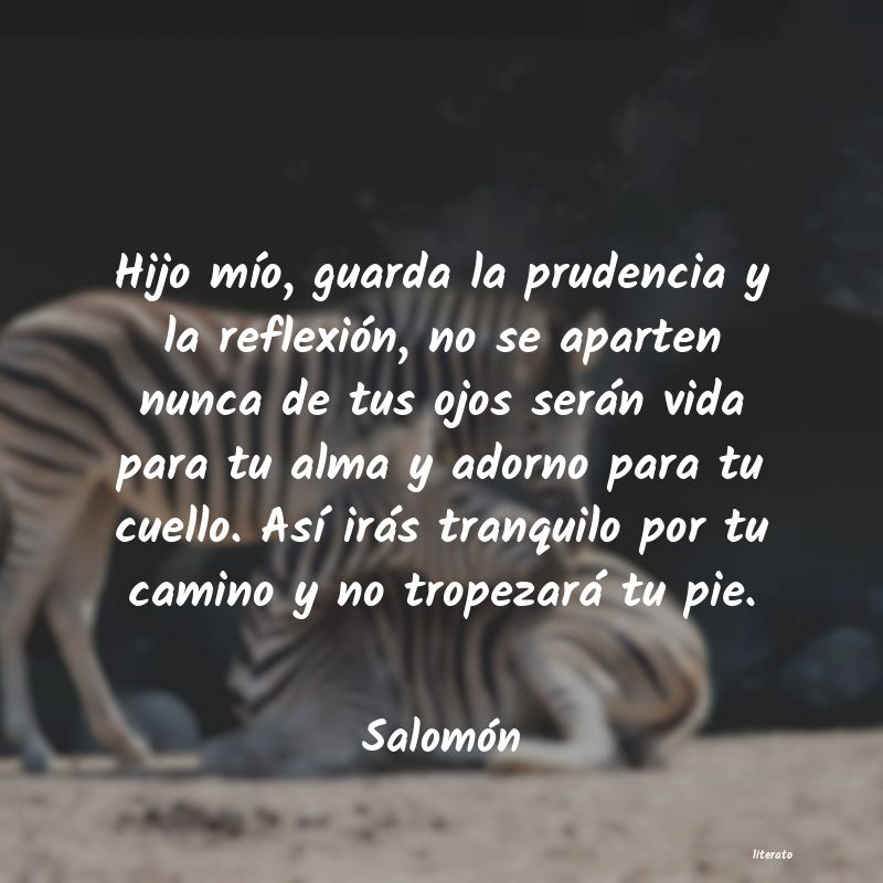 Frases de Salomón