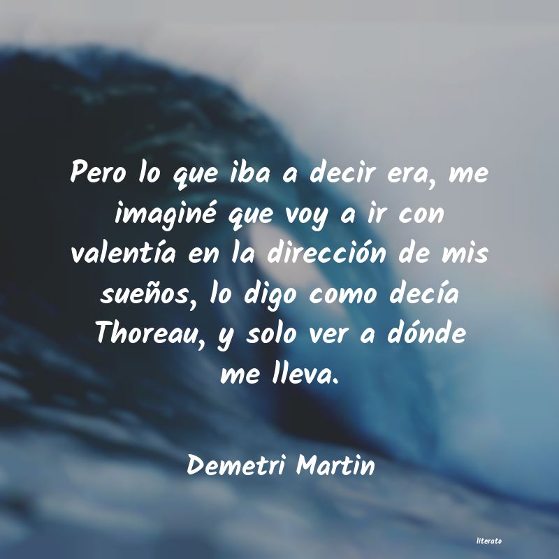 frases de Demetri Martin