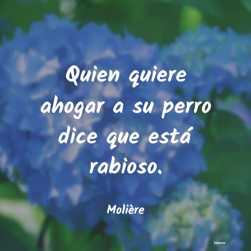 frases de Molière