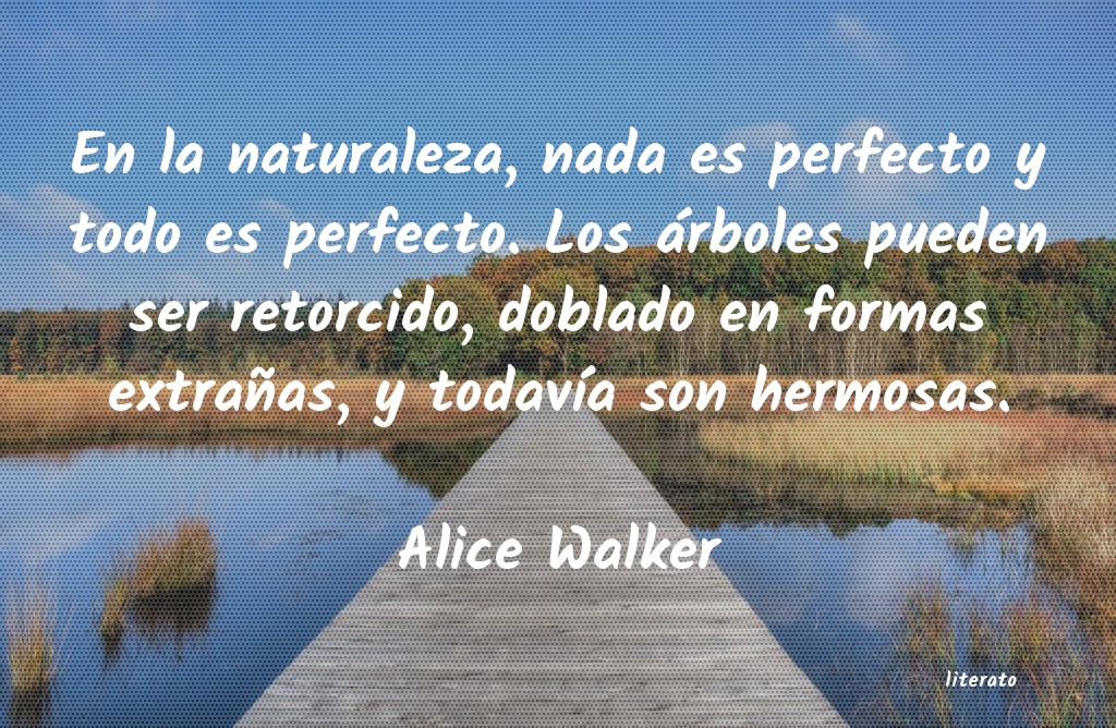 Frases de Alice Walker