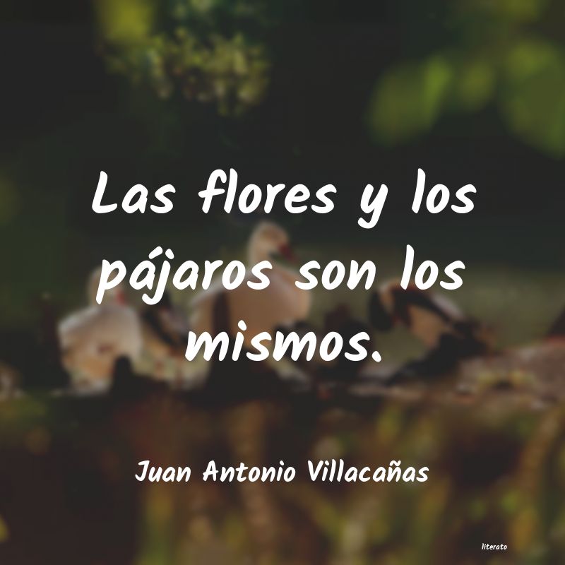 frases de Juan Antonio Villacañas