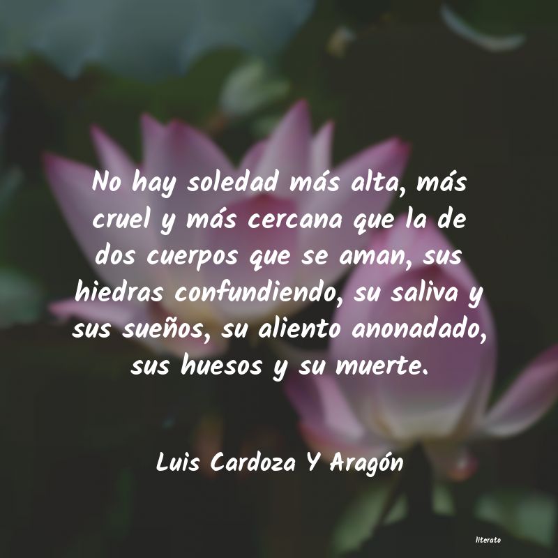 frases de Luis Cardoza Y Aragón