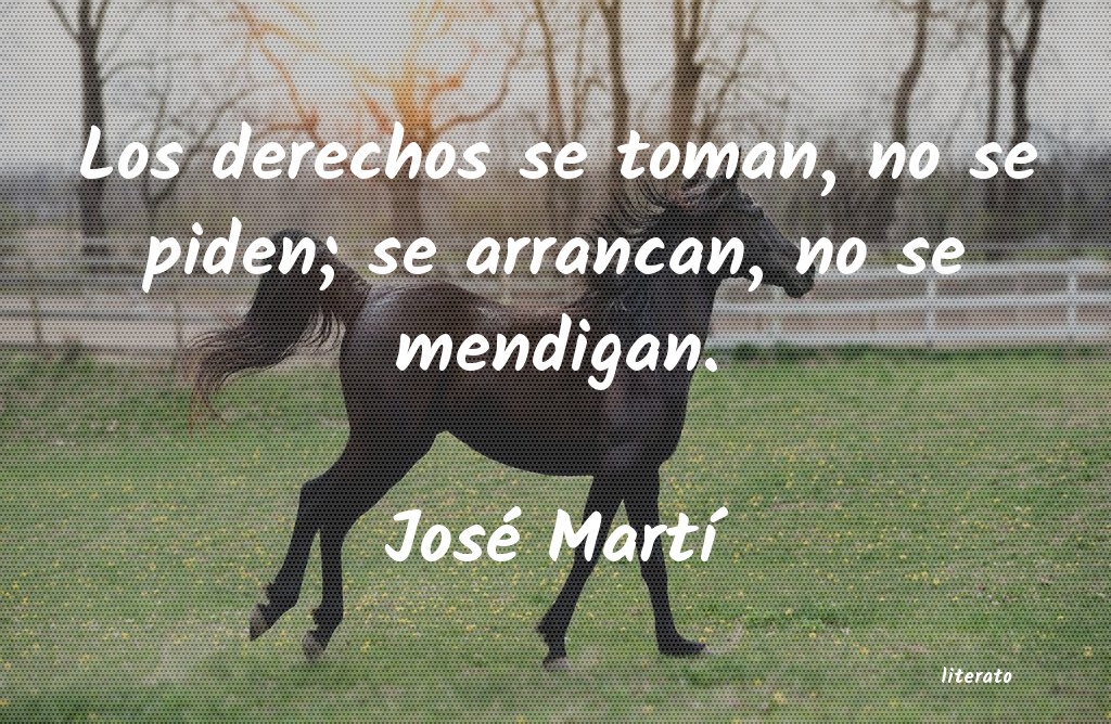 Frases de José Martí