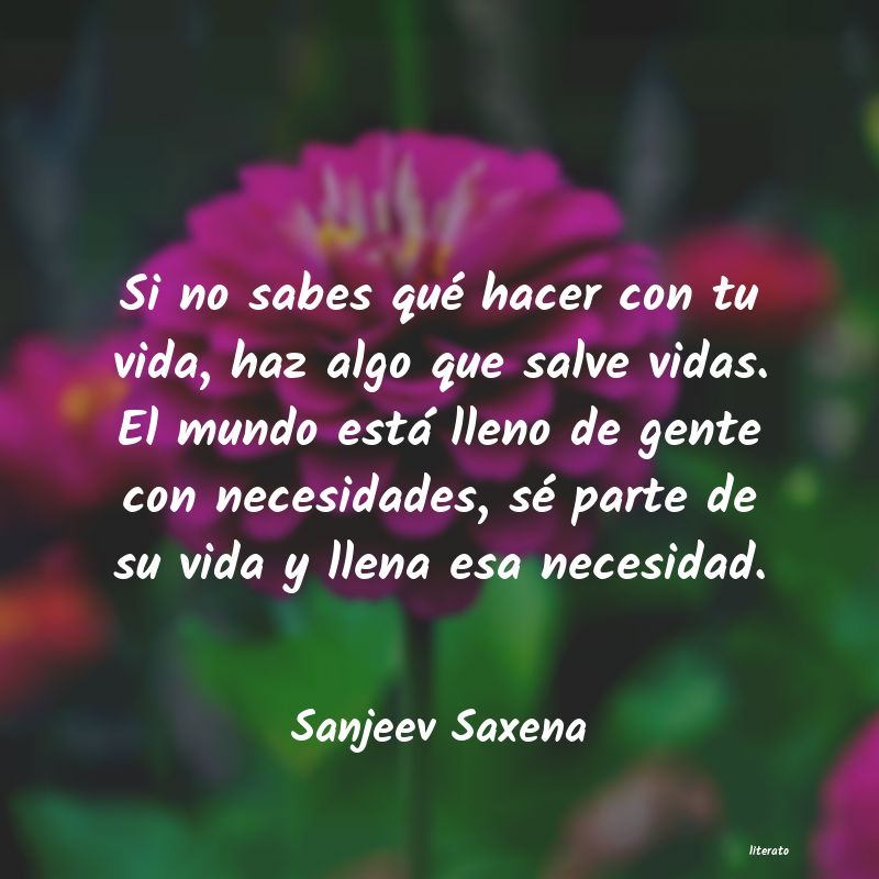 Frases de Sanjeev Saxena