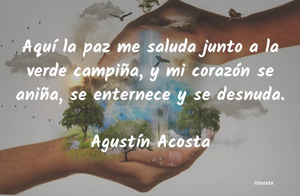 frases de AgustÃn Acosta