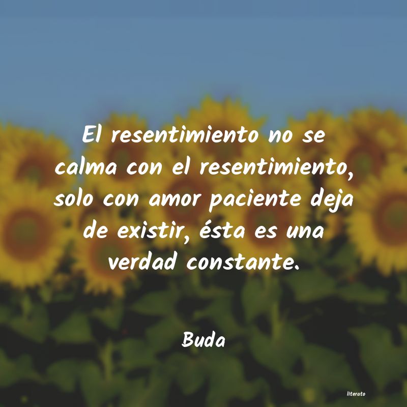 frases de amor paciente