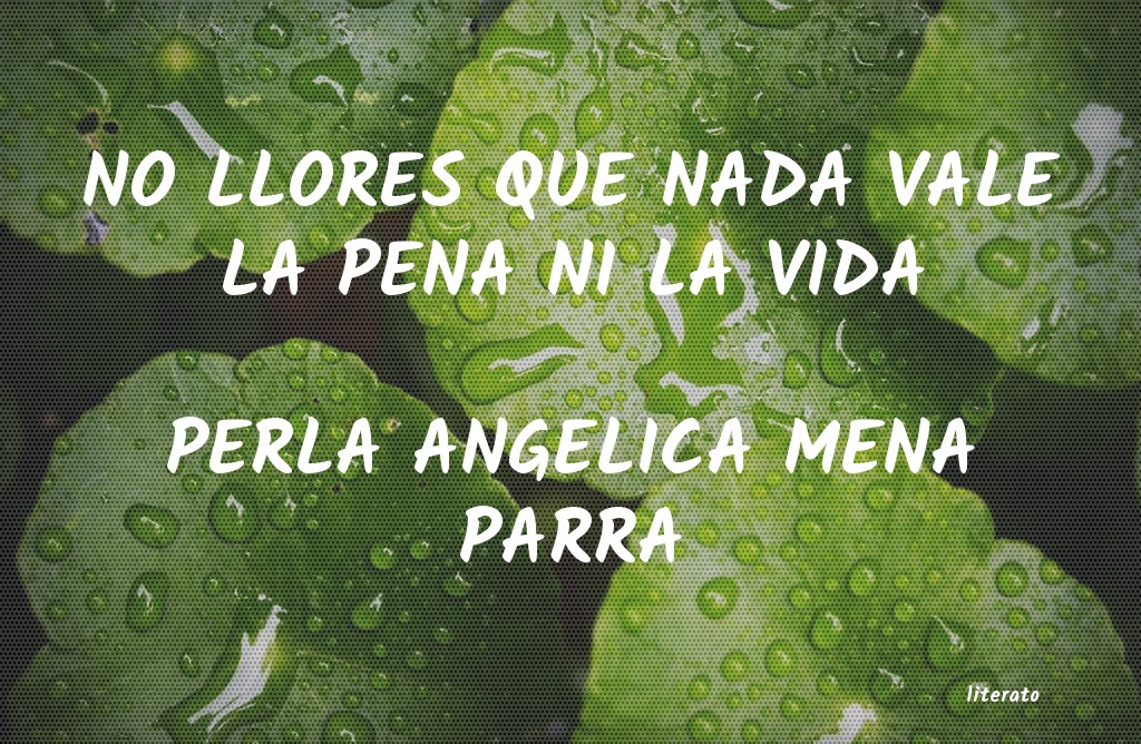 Frases de PERLA ANGELICA MENA PARRA