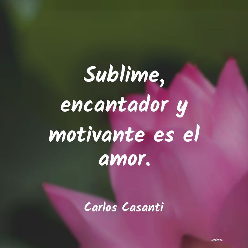 Frases de Carlos Casanti