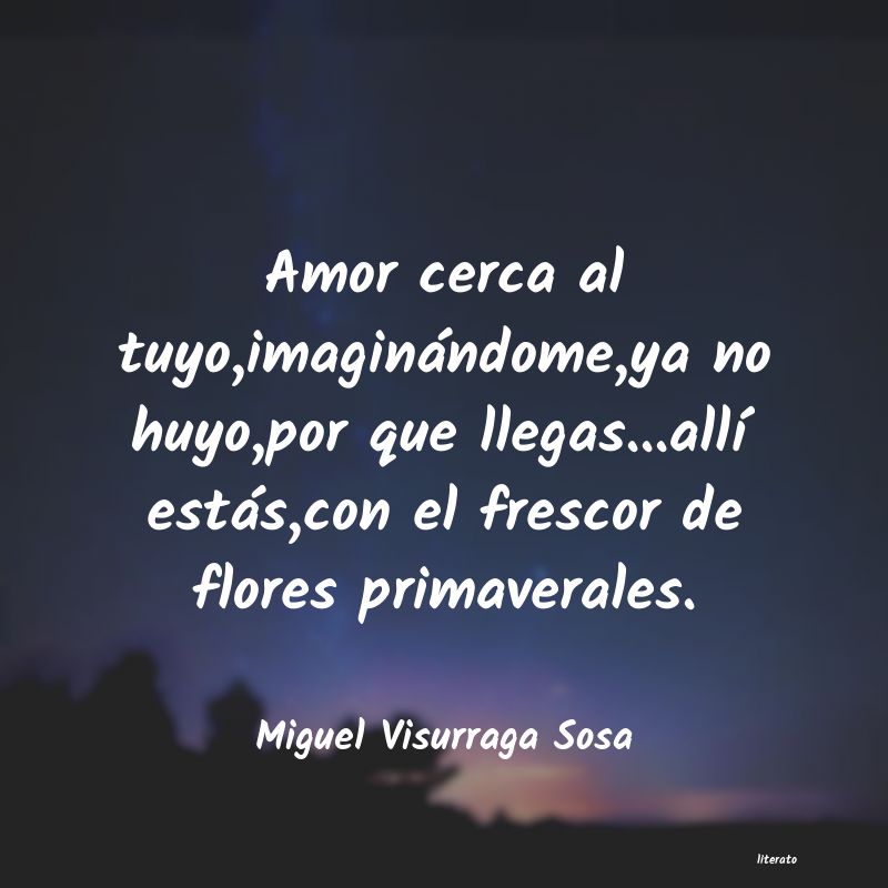 frases de Miguel Visurraga Sosa