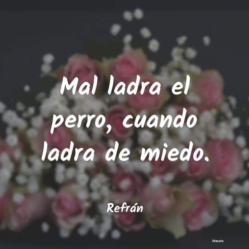 frases de Refrán
