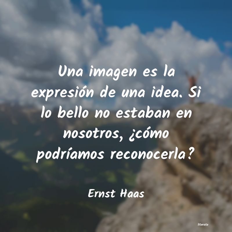 Frases de Ernst Haas