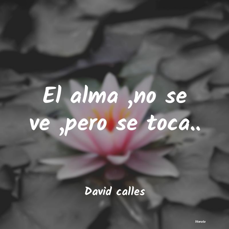 frases de David calles