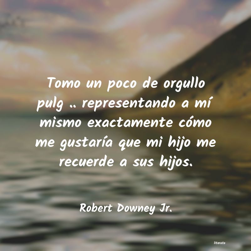 Frases de Robert Downey Jr.